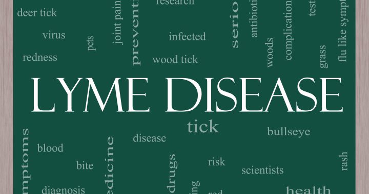 Lyme Disease Word Cloud Concept on a Blackboard with great terms such as deer tick, blood, bullseye, bite and more.
