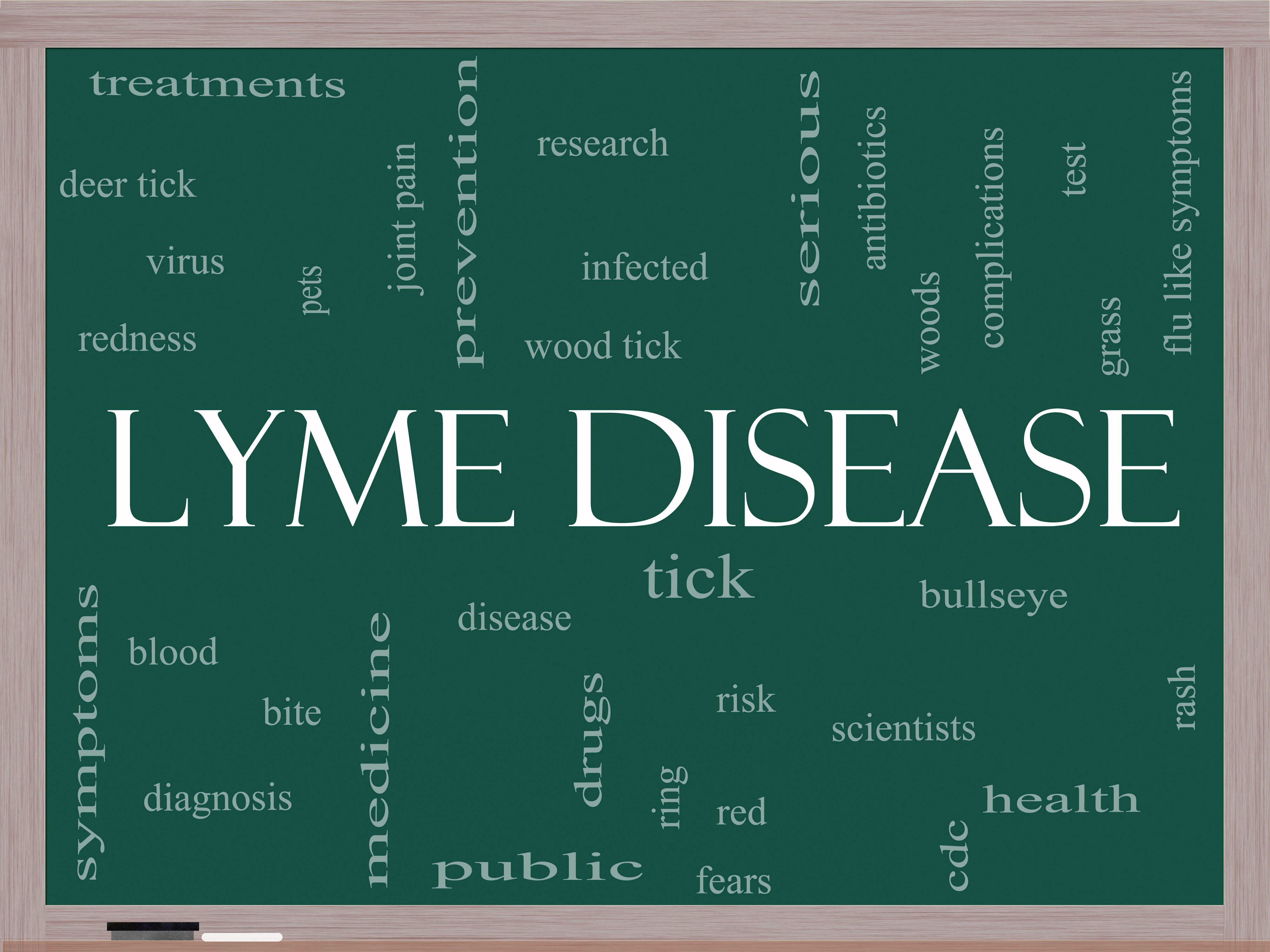 Lyme Disease Postfalls Naturopathic